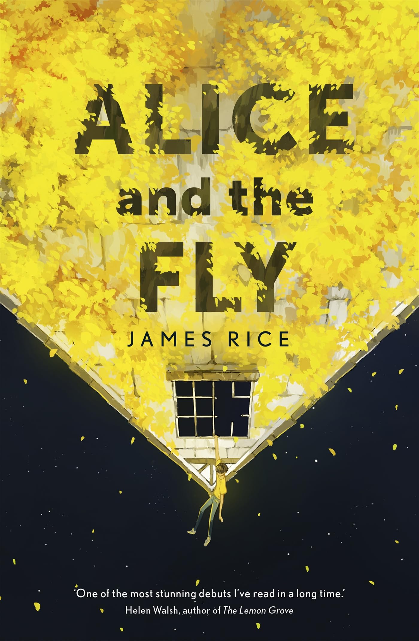 Alice and the Fly: 'a darkly quirky story of love, obsession and fear' Anna James book