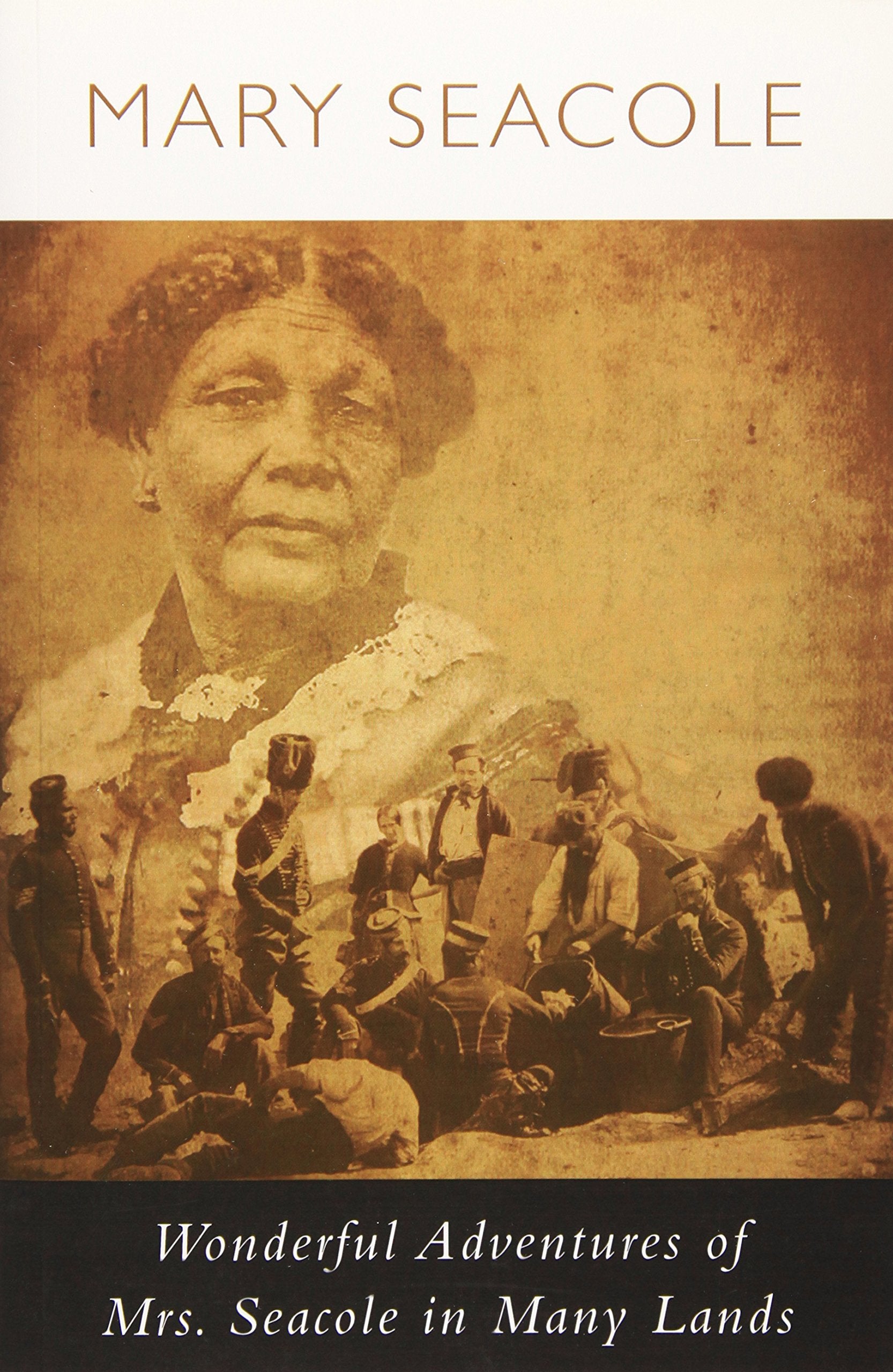 Wonderful Adventures Of Mrs. Seacole In Many Lands Medicine