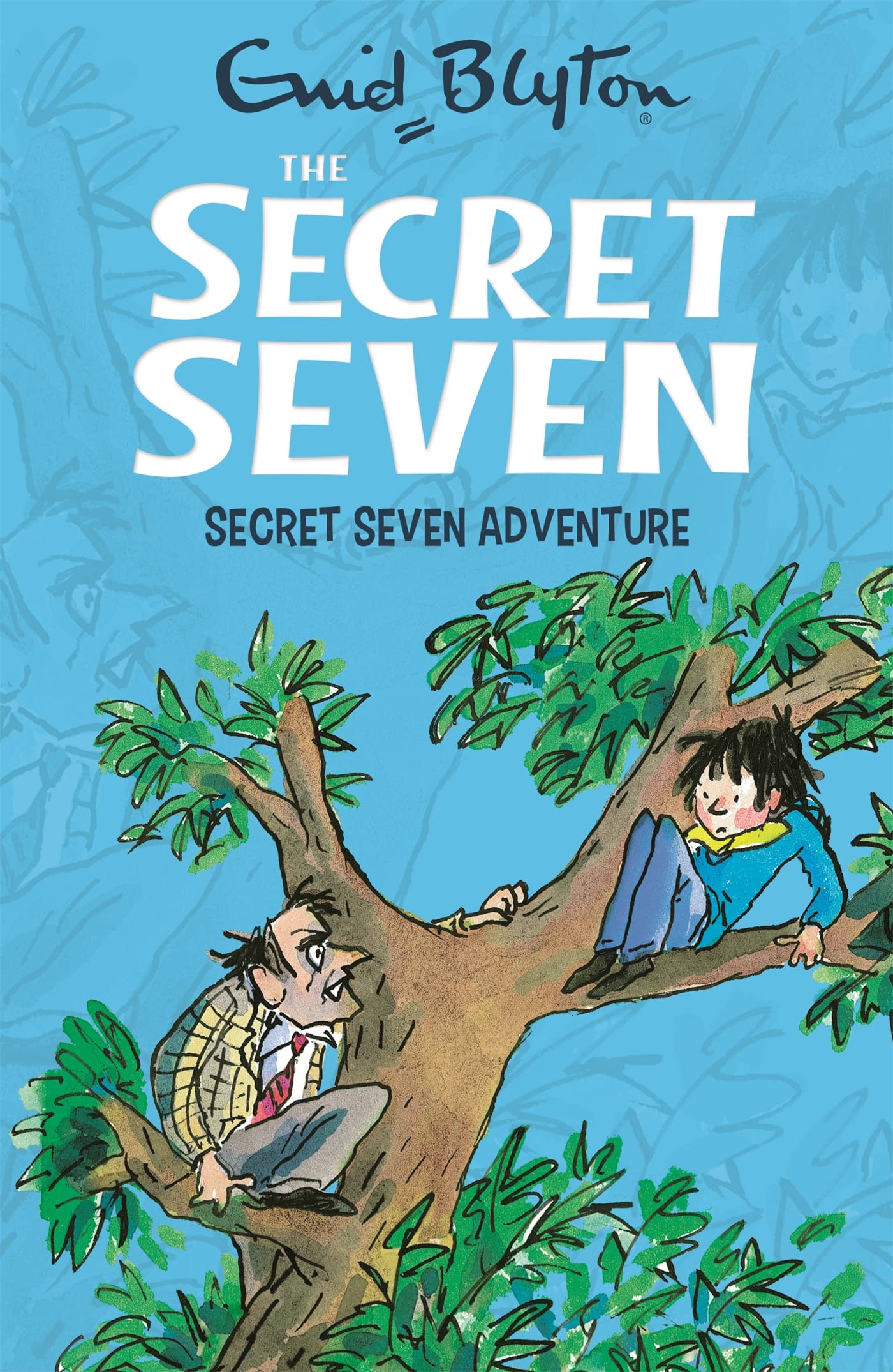 Secret Seven: Secret Seven Adventure Non-fiction