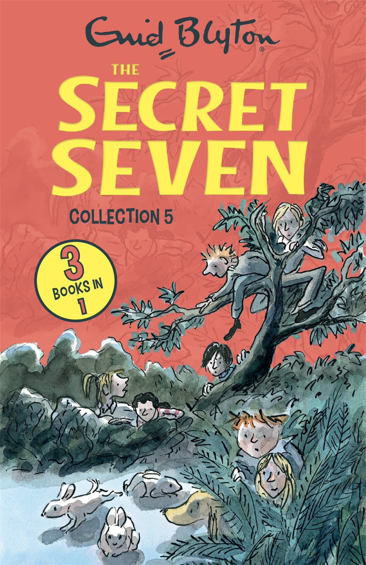 The Secret Seven Collection 5: Books 13-15 (Secret Seven Collections and Gift books) Non-fiction