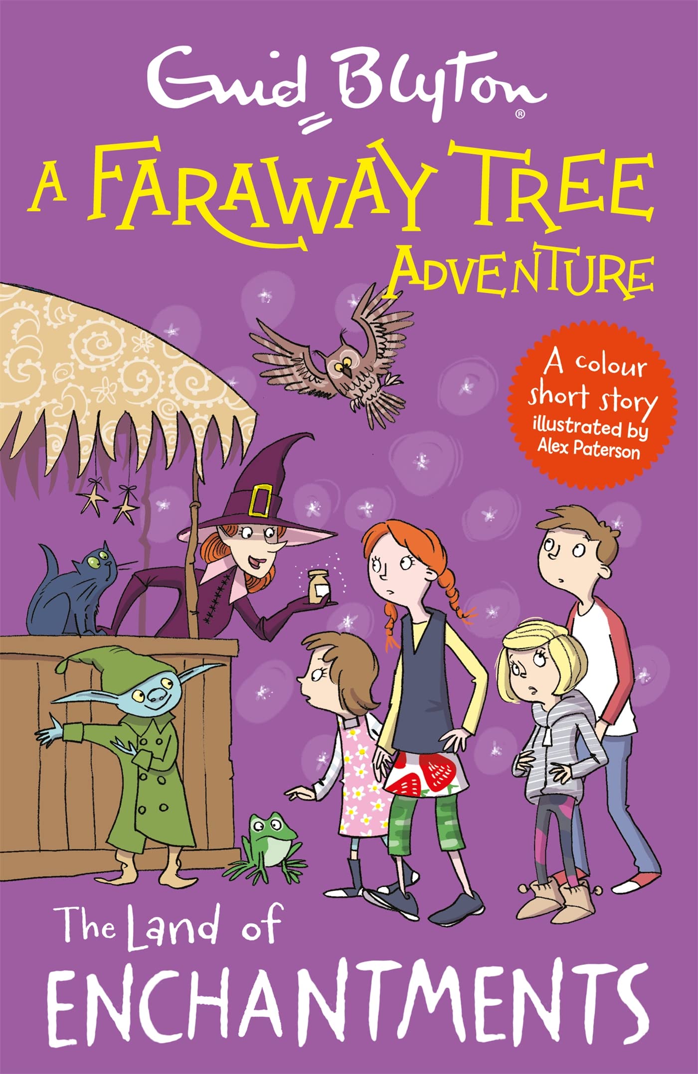 A Faraway Tree Adventure: The Land of Enchantments Novels & Short Stories
