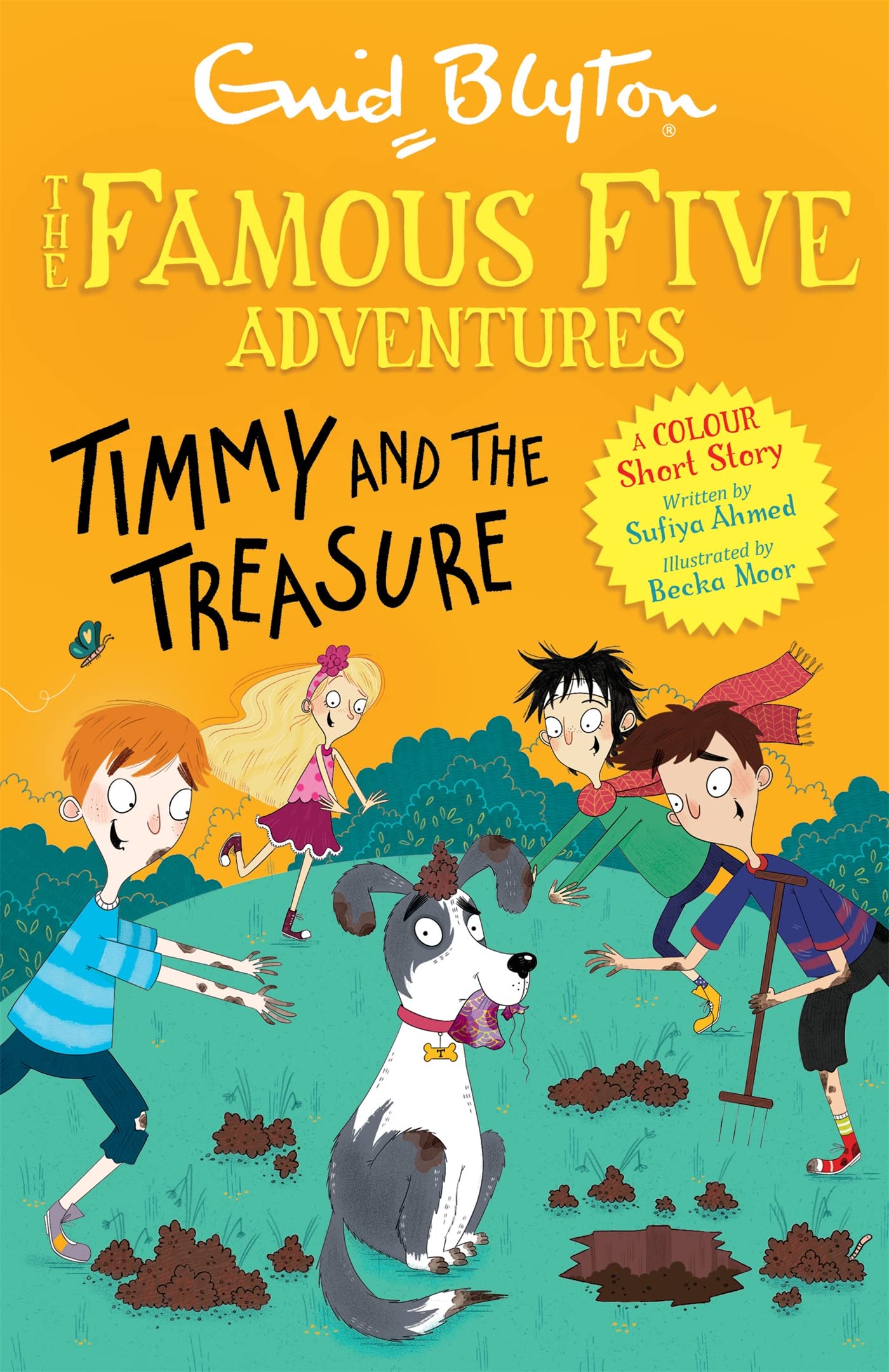 Famous Five Colour Short Stories: Timmy and the Treasure (Famous Five: Short Stories) Non-fiction