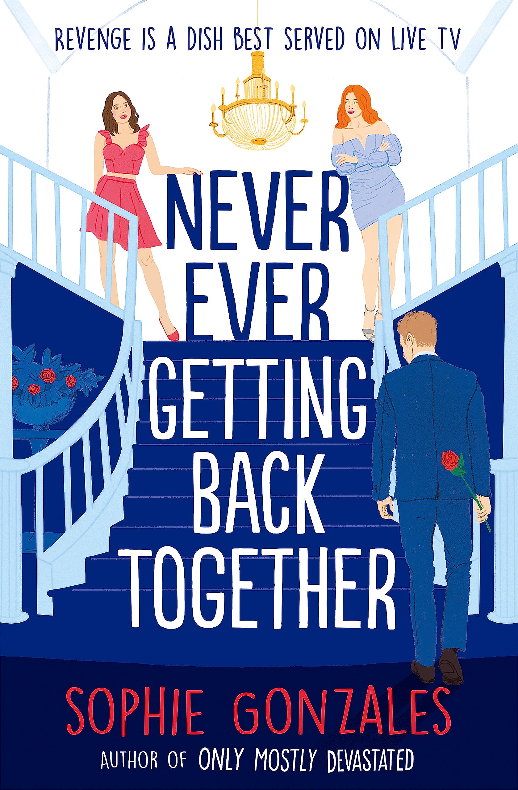 Never Ever Getting Back Together Second-hand LGBTQ+ romance novels