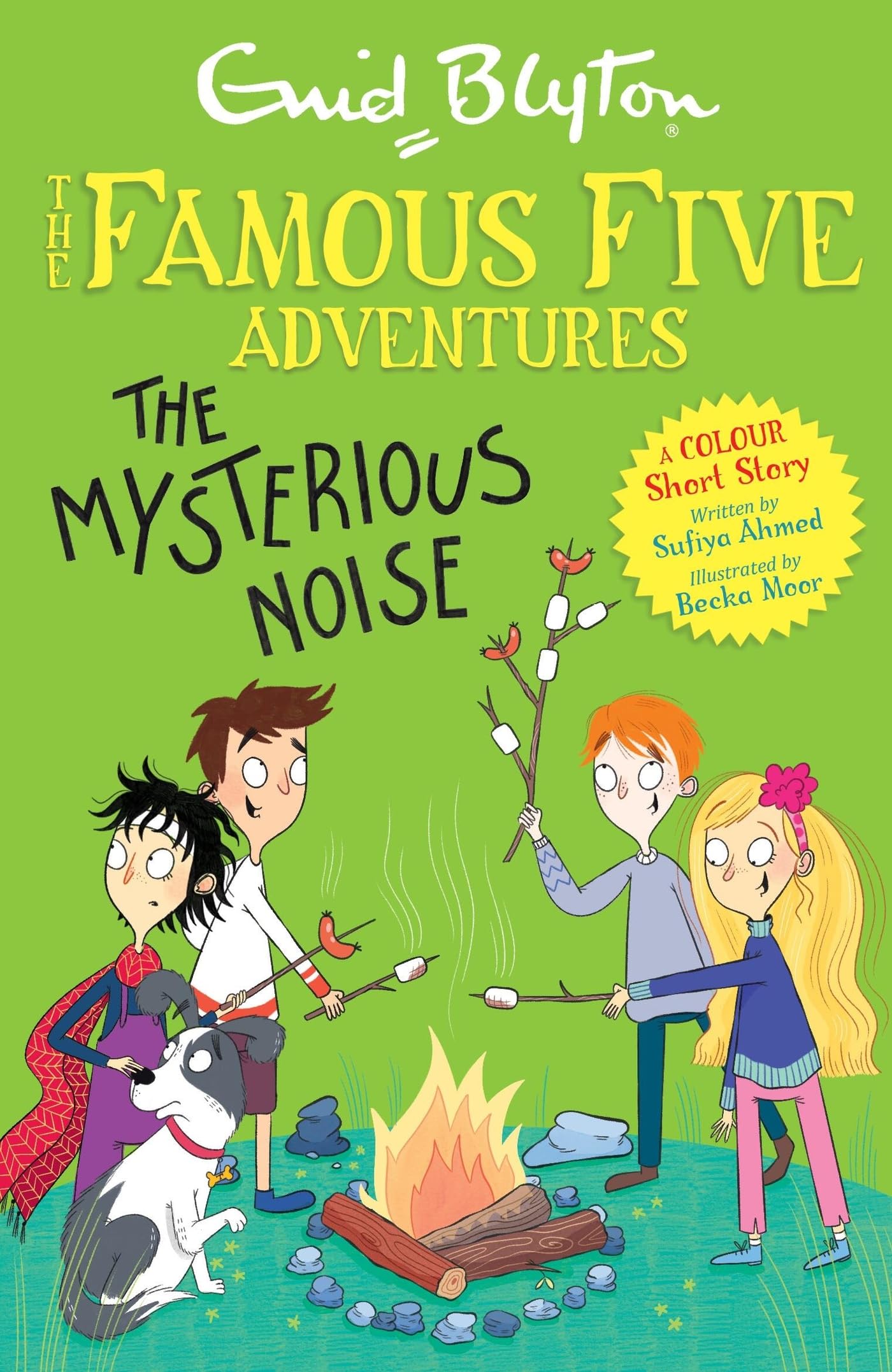 Famous Five Colour Short Stories: The Mysterious Noise Novels & Short Stories