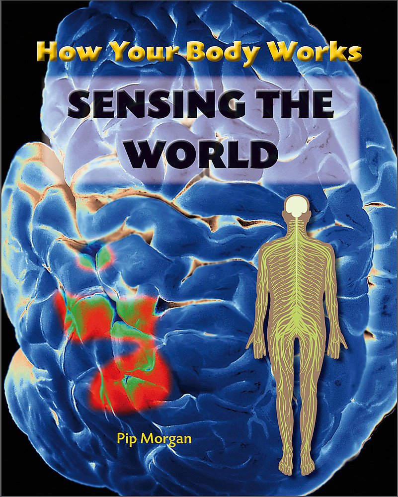 Sensing the World (How Your Body Works) Non-fiction
