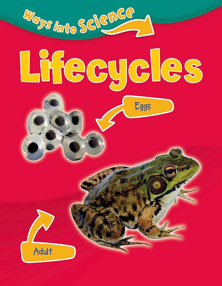 Product Image: Lifecycles (Ways into Science)