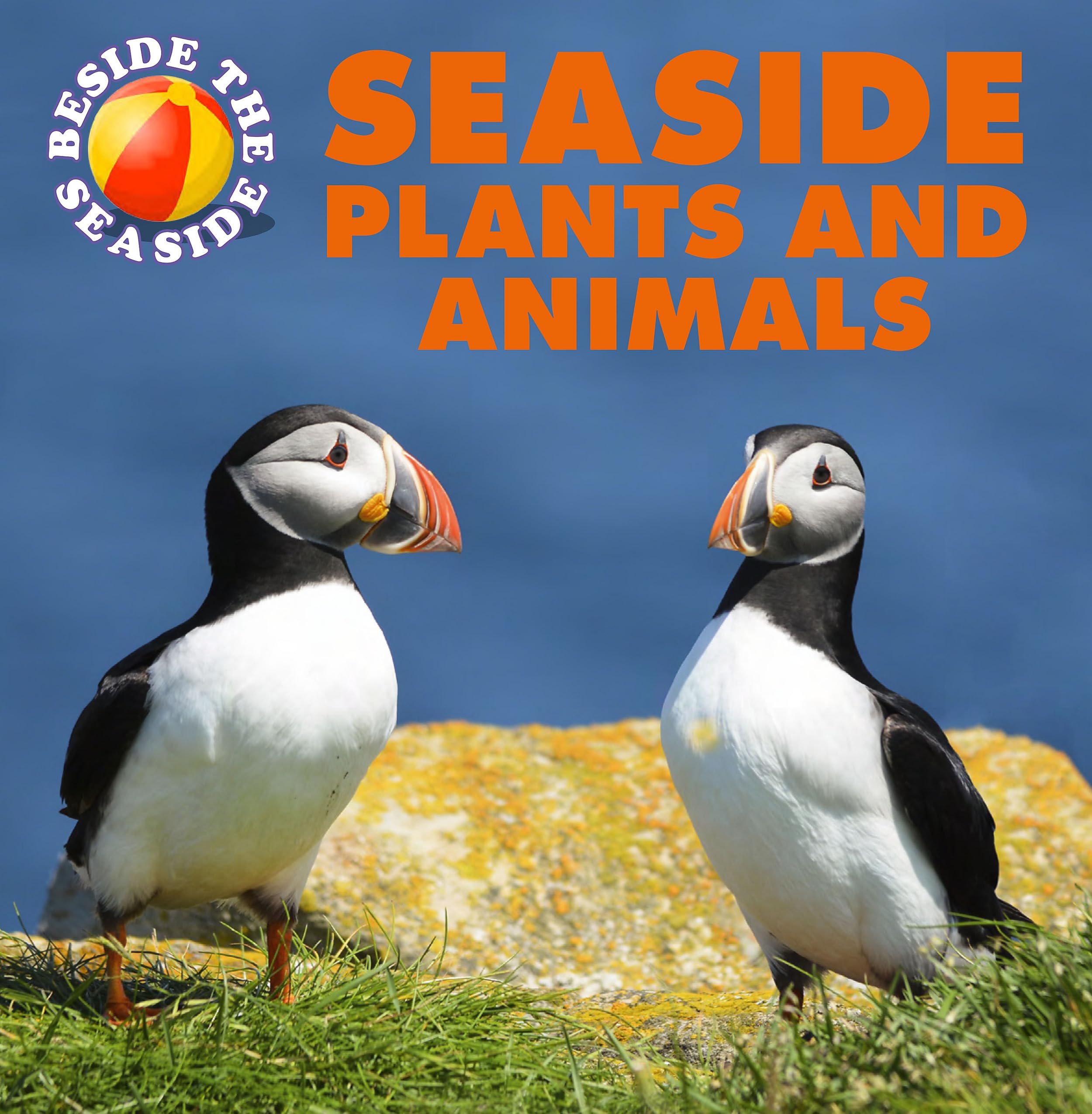 Seaside Plants and Animals (Beside the Seaside) Leisure & Fun
