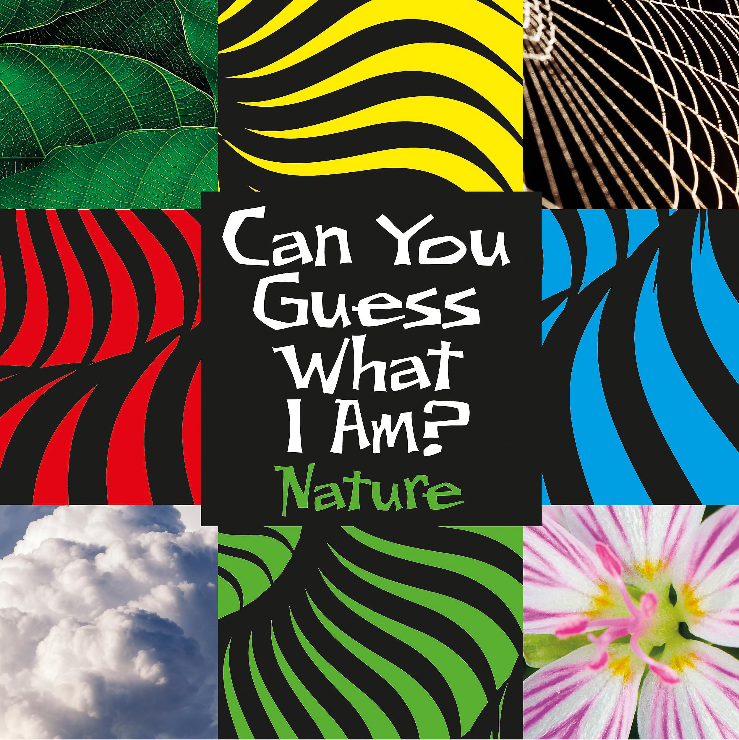 Can You Guess What I Am?: Nature Study Guides