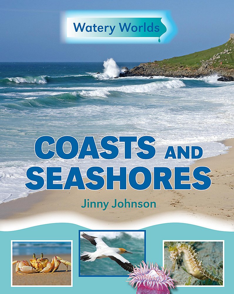 Coasts and Seashores (Watery Worlds) Non-fiction