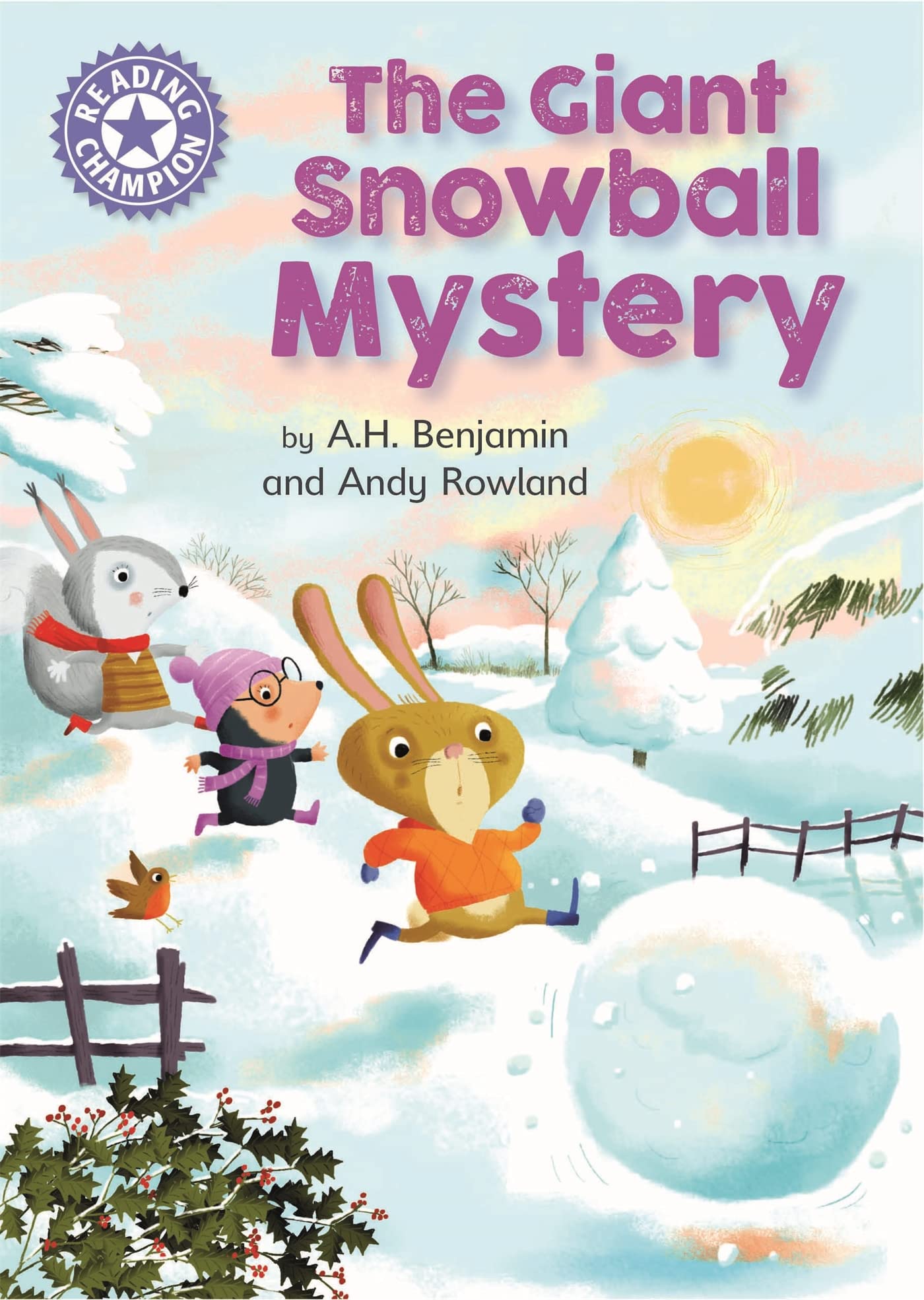 Reading Champion: The Giant Snowball Mystery Professional & Reference Books