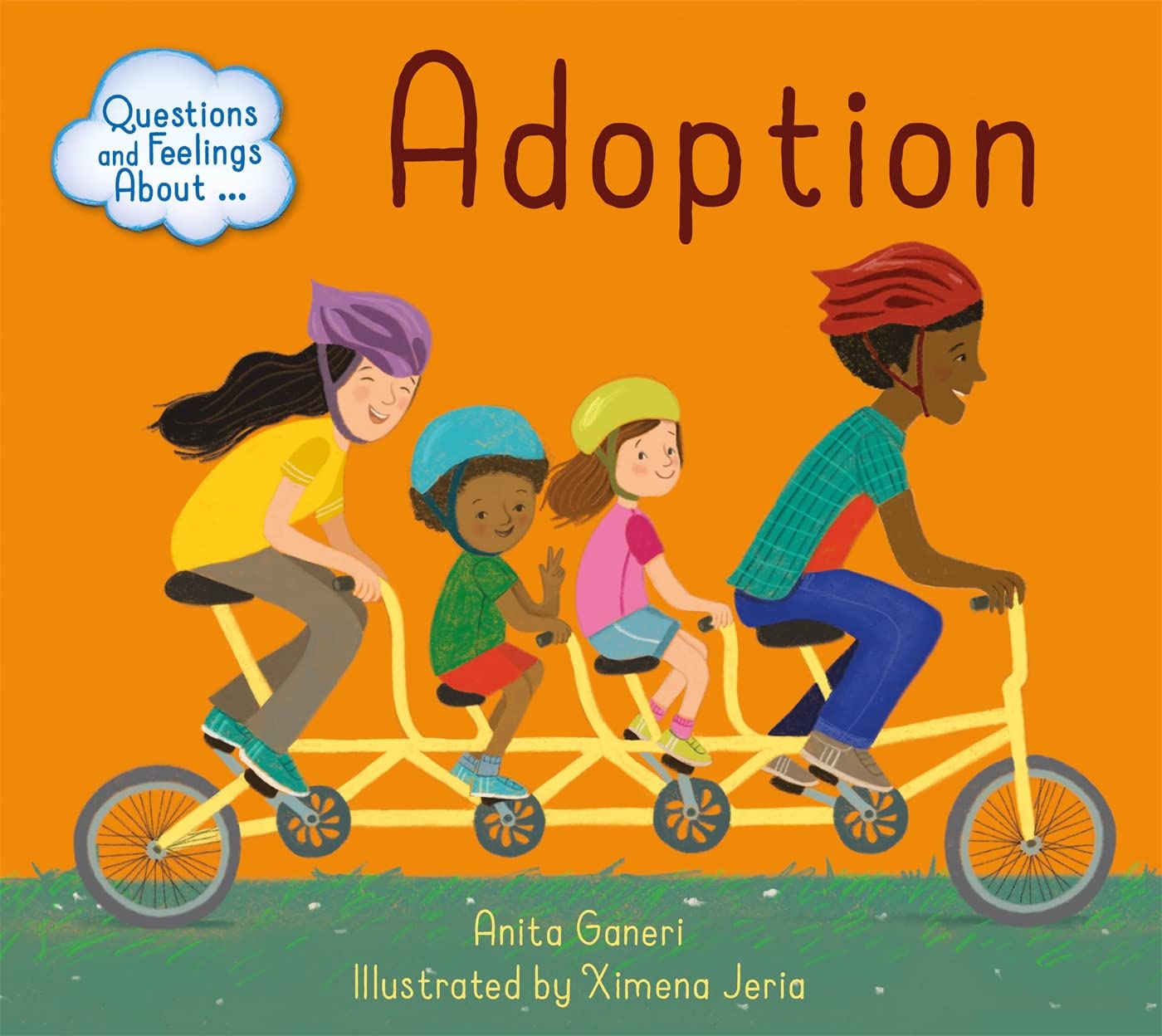 Adoption (Questions and Feelings About) Study Guides