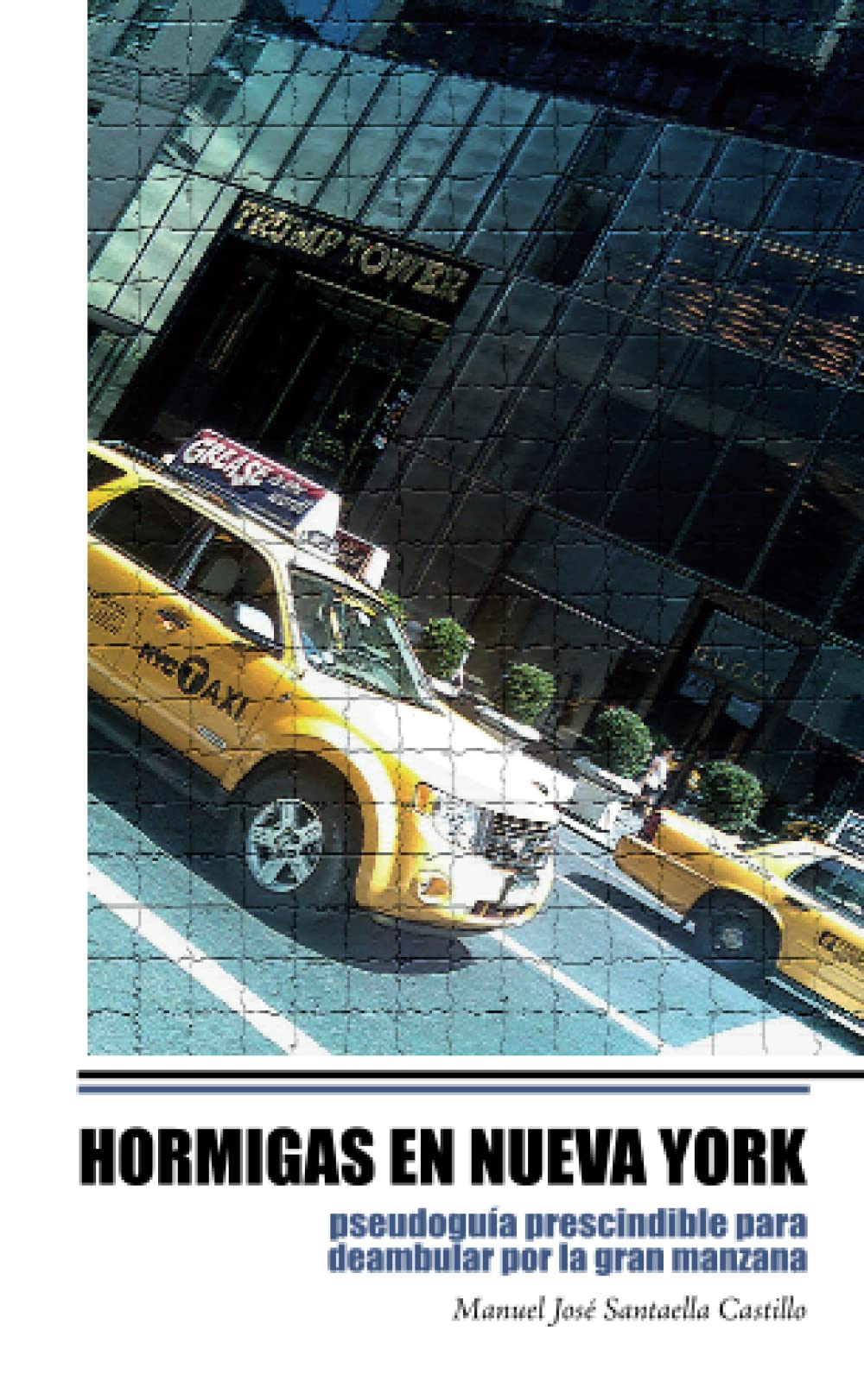 Hormigas en Nueva York pseudoguía prescindible para deambular por la Gran Manzana Books
