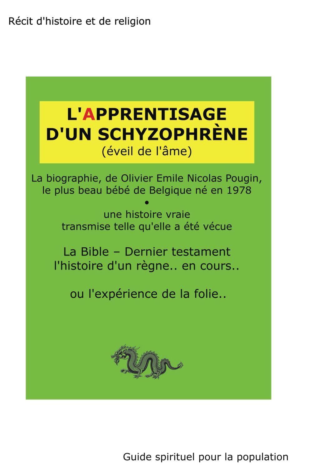 L'APPRENTISAGE D'UN SCHYZOPHRÈNE: ou l'expérience de la folie Religion & Esotericism
