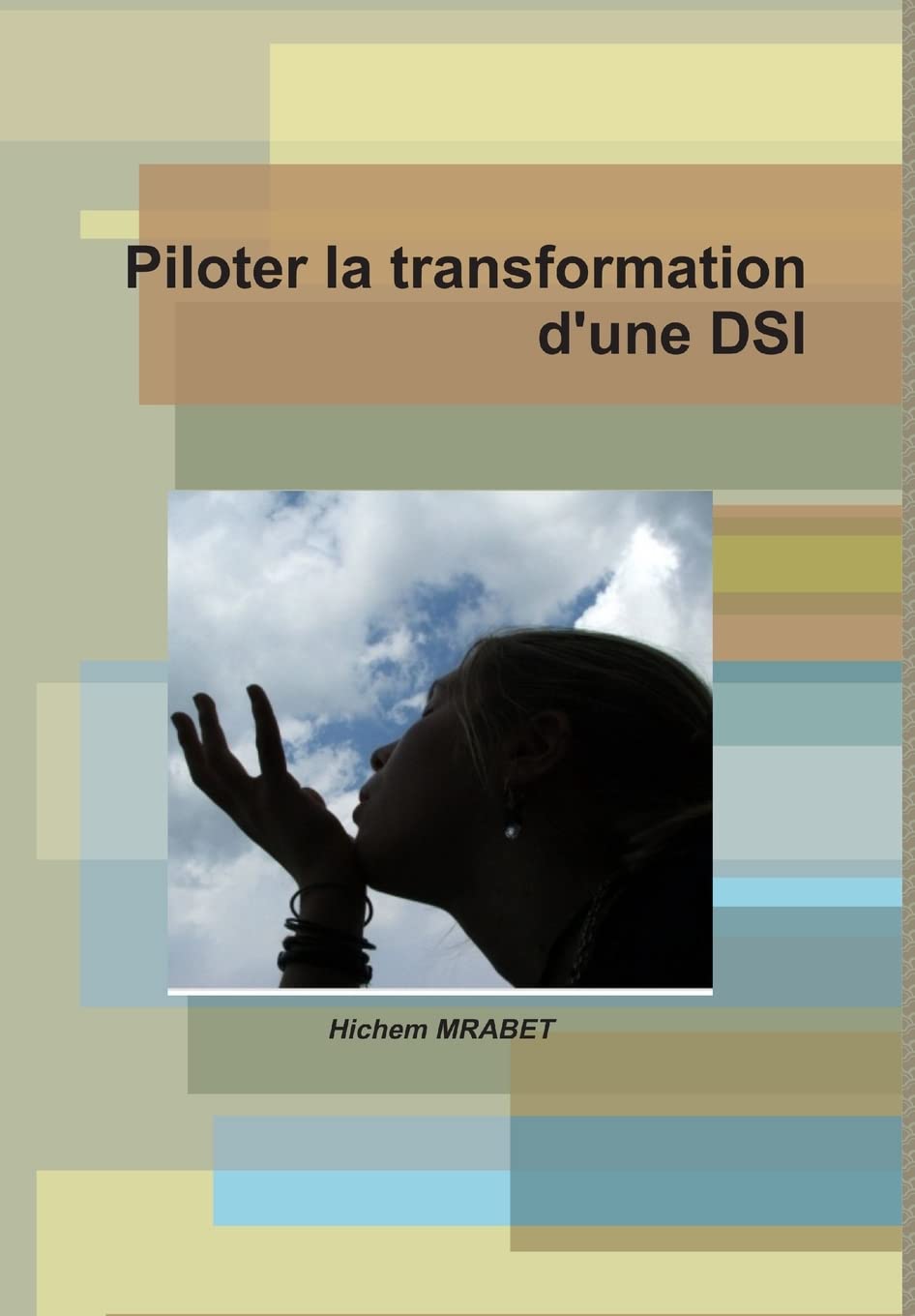 Piloter la transformation d'une DSI book