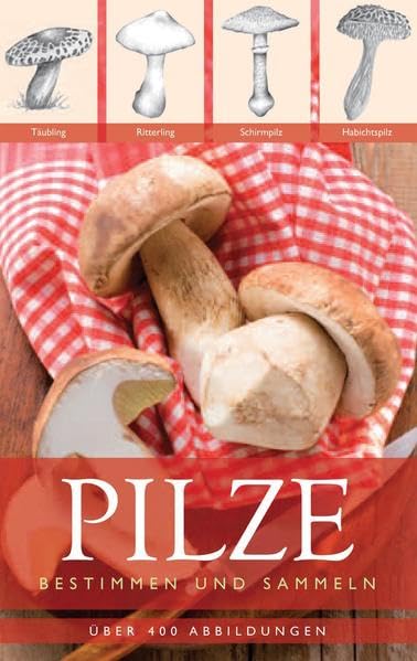 Pilze Leisure, Home & Garden