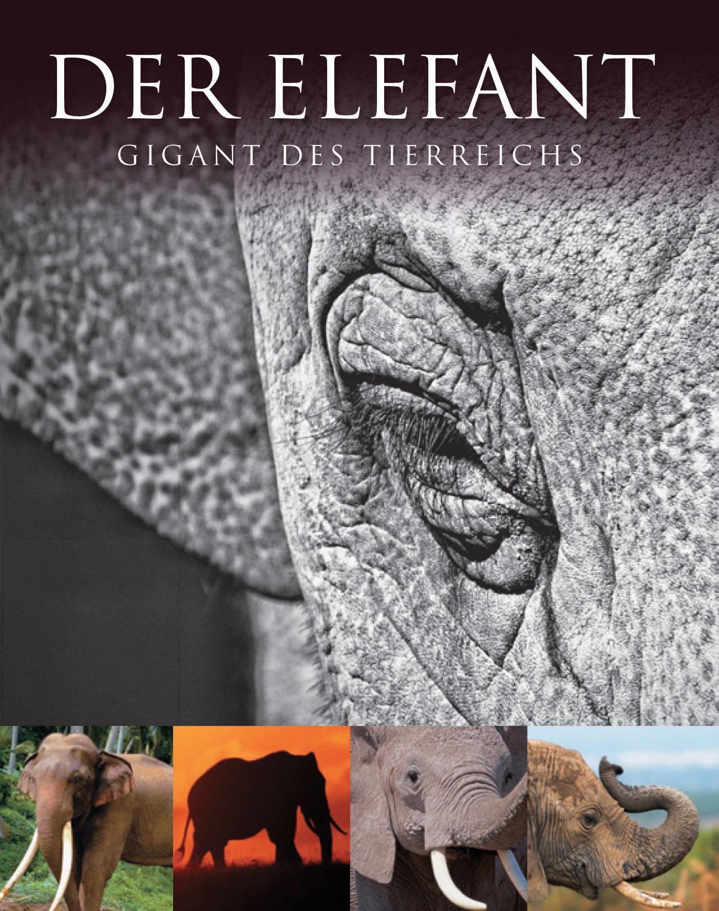 Product Image: Abenteuer Wildnis: Elefant
