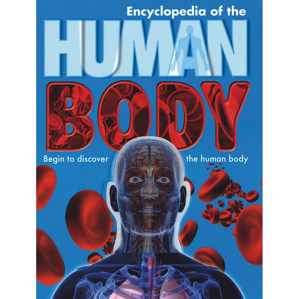 Product Image: Children's Human Body
