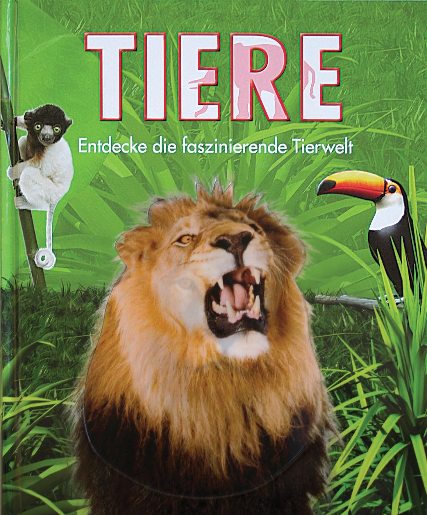 Enzyklopädie Tiere der Welt: Entdecke die faszinierende Tierwelt Leisure & Fun