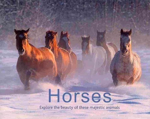Horses: Explore the Beauty of These Majestic Animals (Landscape Books) Hobbies & Crafts
