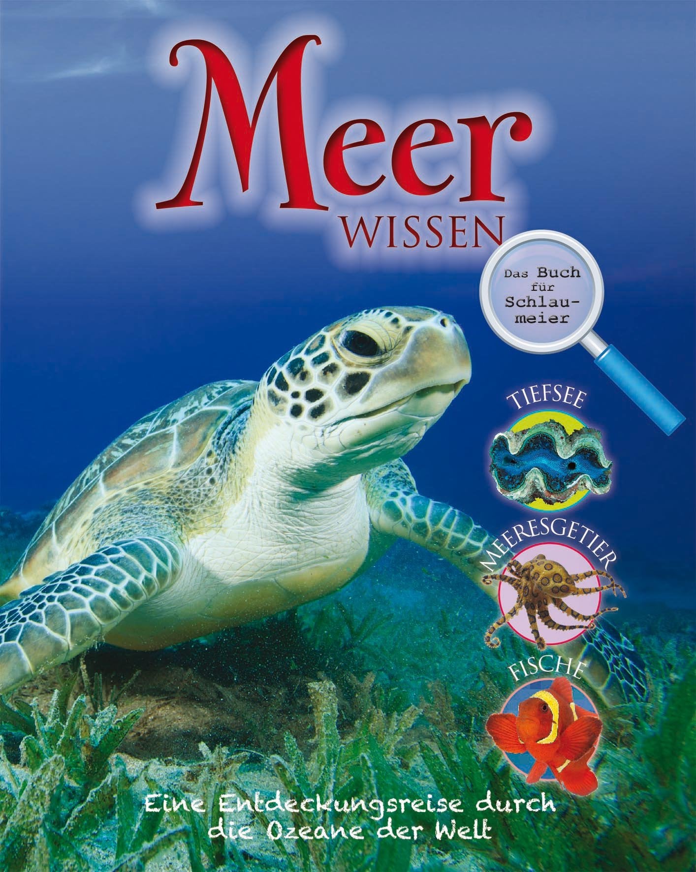 Hits für Kids: Meer Wissen Non-fiction
