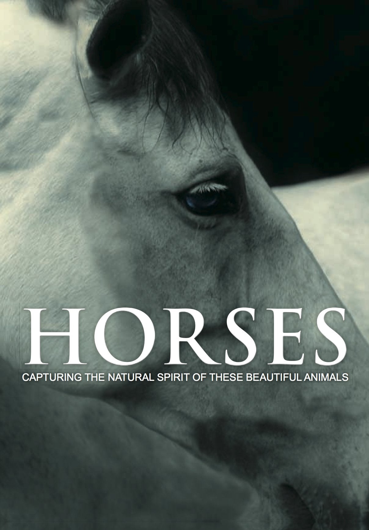 Horses: Capturing the Natural Spirit of These Beautiful Animals Books