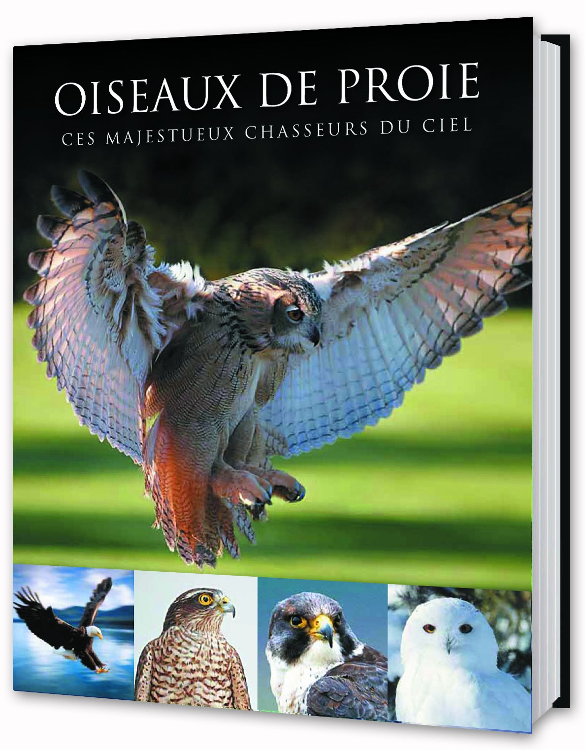 Oiseaux de proie: Ces majestueux chasseurs du ciel book