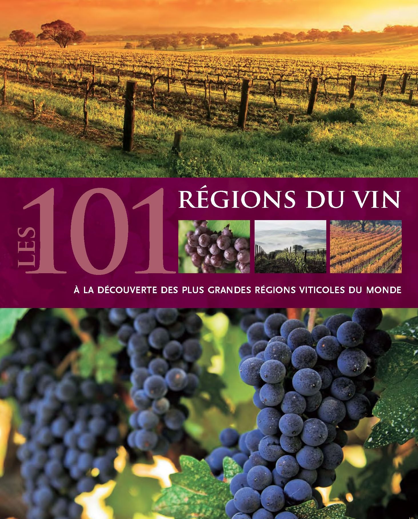 Les 101 régions du vin: A la découverte des plus grandes régions viticoles du monde book