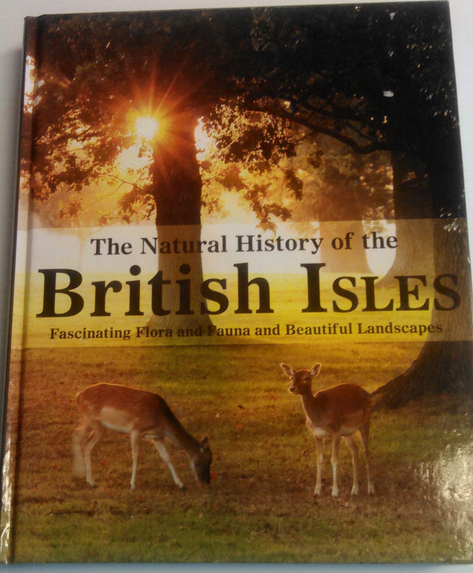 Natural History of the British Isles Mathematics