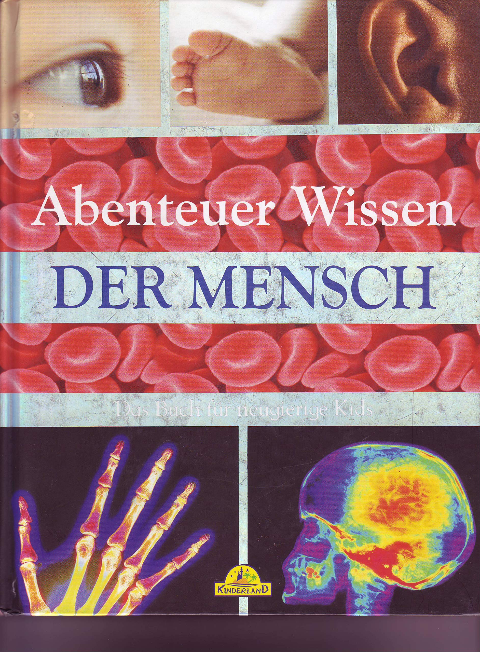 Abenteuer Wissen, Der Mensch, Das Buch für neugierige Kids Books
