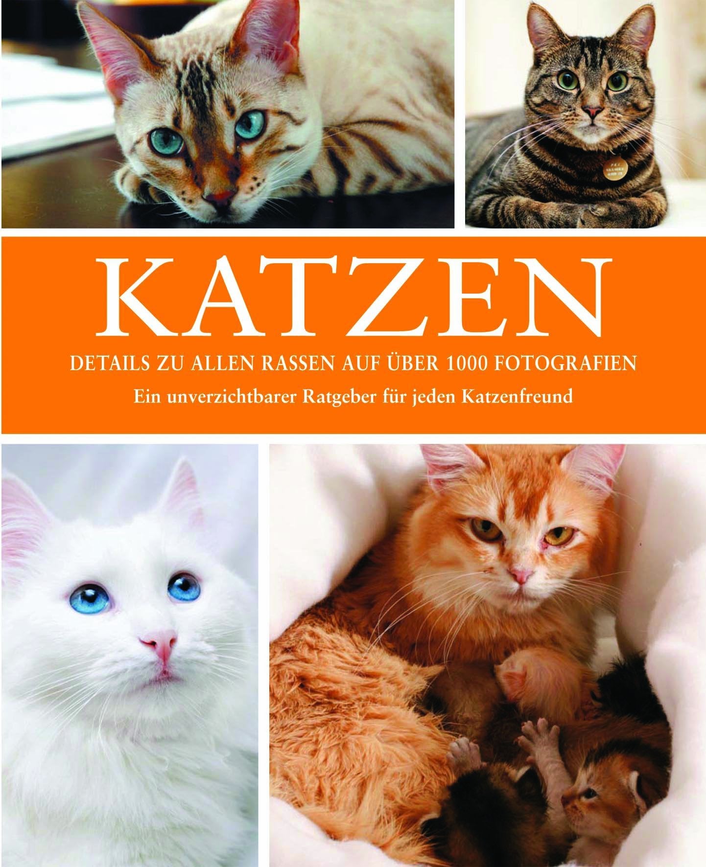 Katzen: 10 Jahre Parragon Leisure & Fun