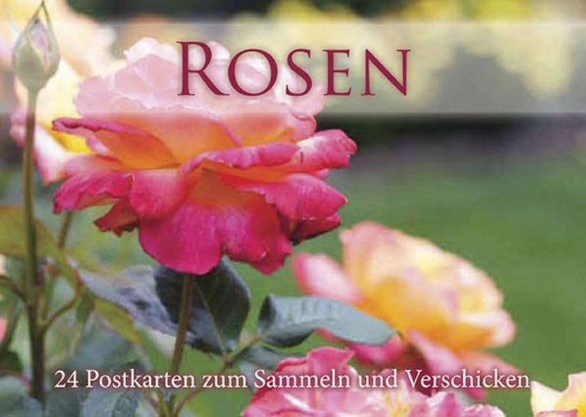 Postkartenbuch: Rosen: 24 Postkarten zum Sammeln und Verschicken Travel