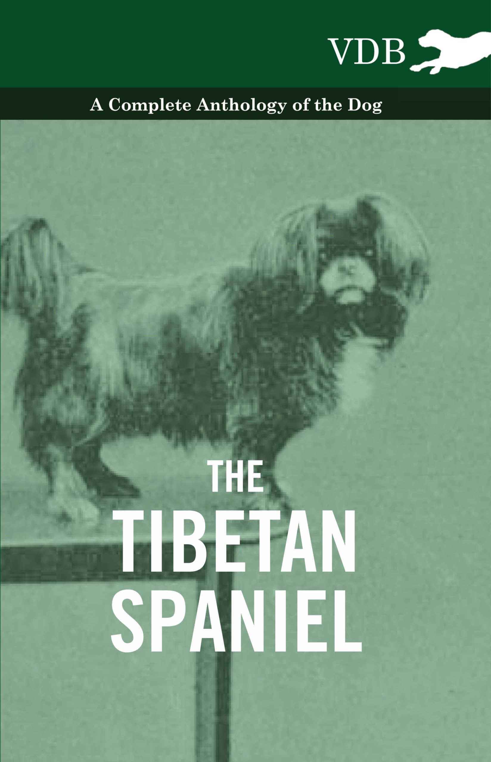 The Tibetan Spaniel - A Complete Anthology of the Dog Mathematics