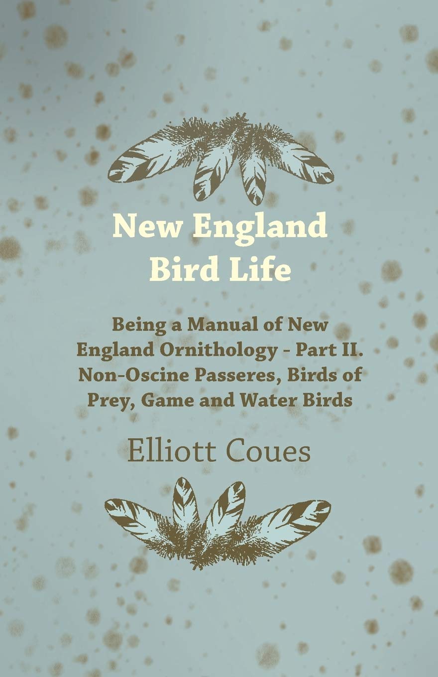 New England Bird Life - Being a Manual of New England Ornithology - Part II. Non-Oscine Passeres, Birds of Prey, Game and Water Birds Mathematics