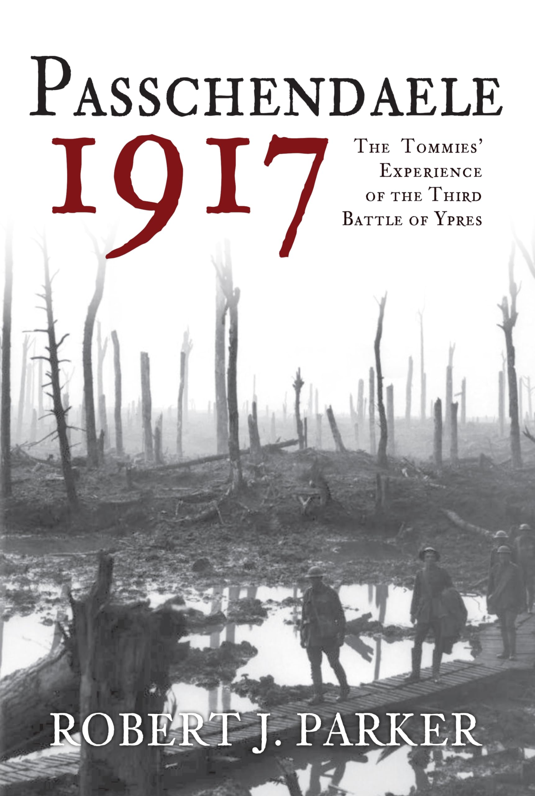Passchendaele 1917: The Tommies' Experience of the Third Battle of Ypres Social Sciences