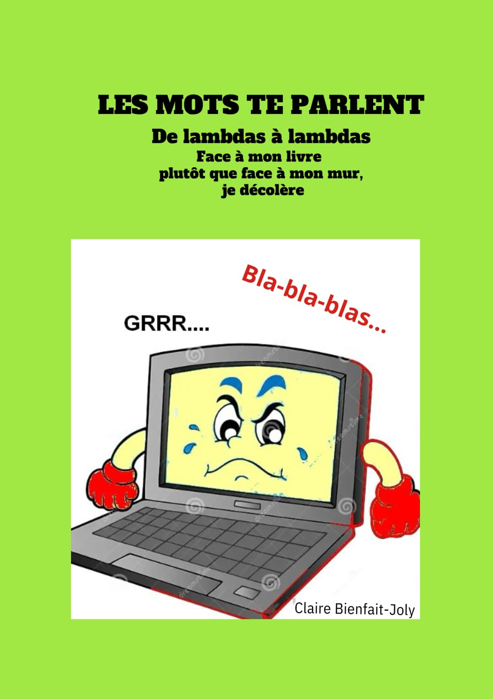 LES MOTS TE PARLENT : DE LAMBDAS à LAMBDAS DE 1980 à 2024 : Face à mon livre plutôt que face à mon mur, je décolère book