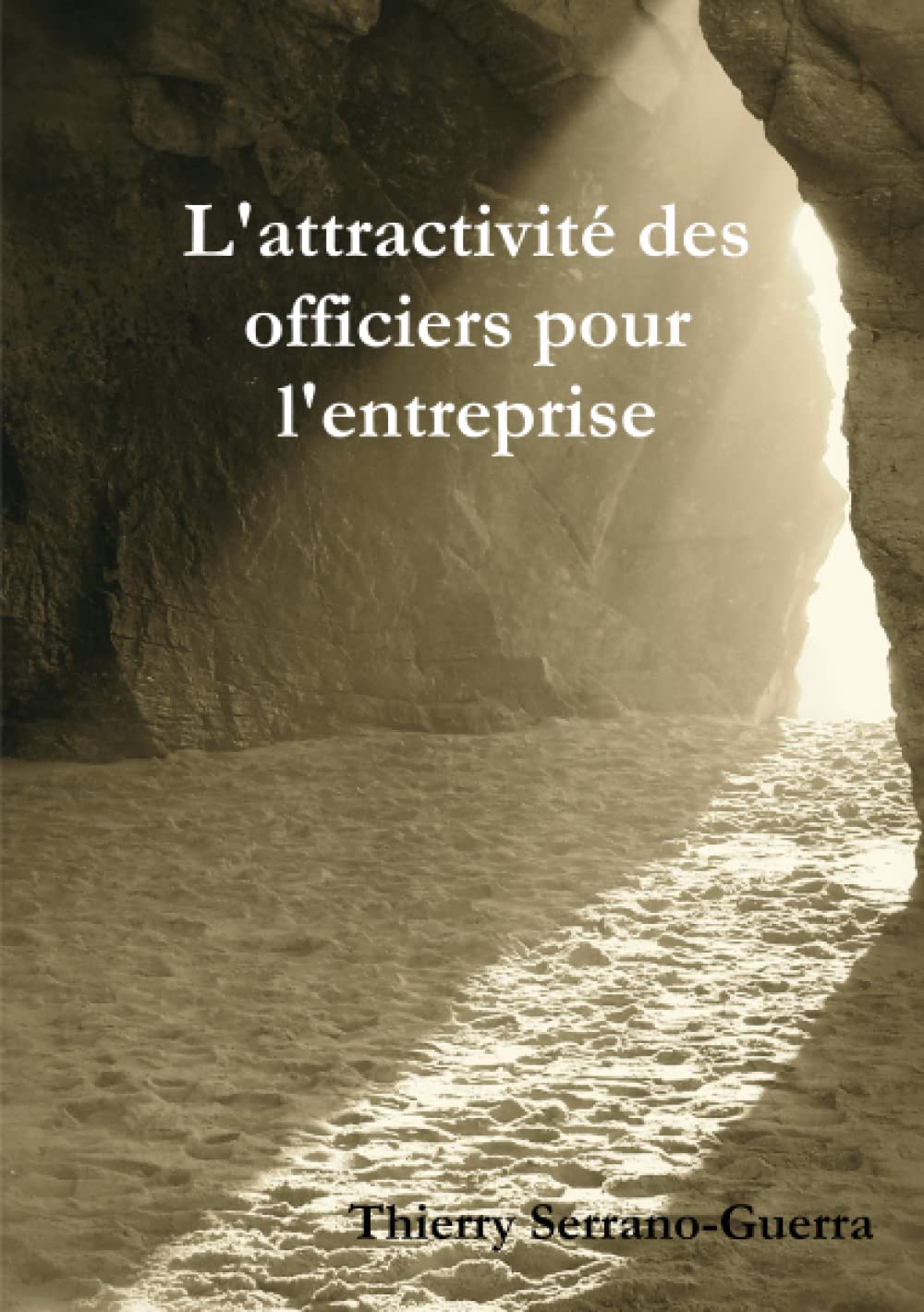 L'attractivité des officiers pour l'entreprise book
