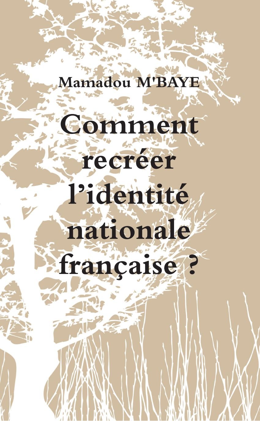 Comment recrÈer l'identitÈ nationale franÁaise ? Social Sciences