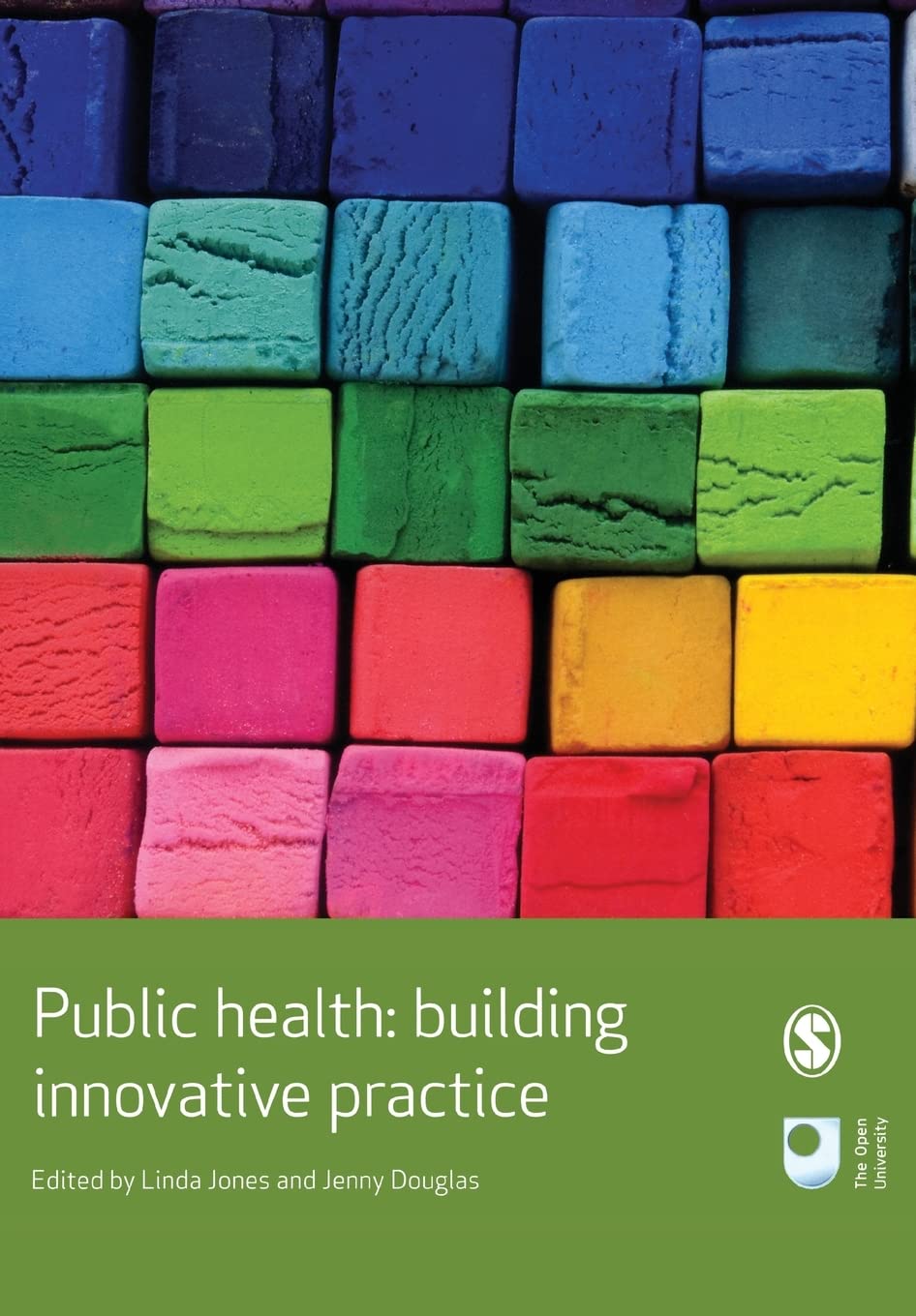 Public Health: Building Innovative Practice book