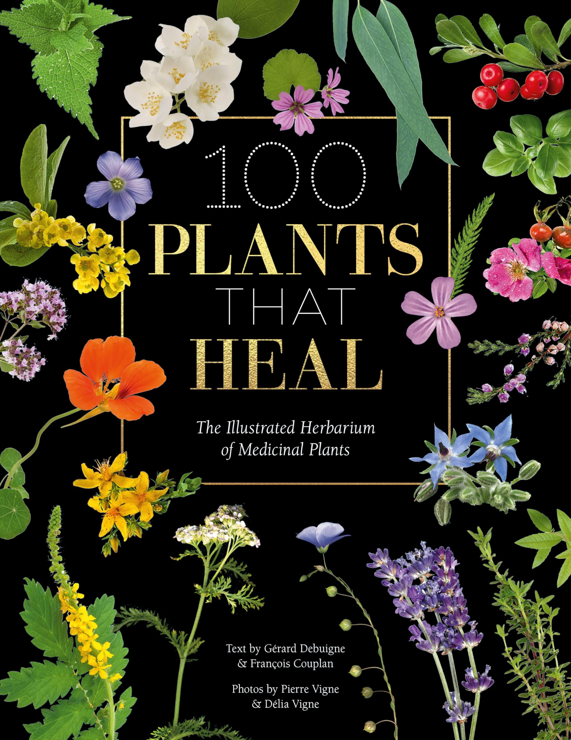 100 Plants That Heal: The illustrated herbarium of medicinal plants Health, Nutrition & Fitness