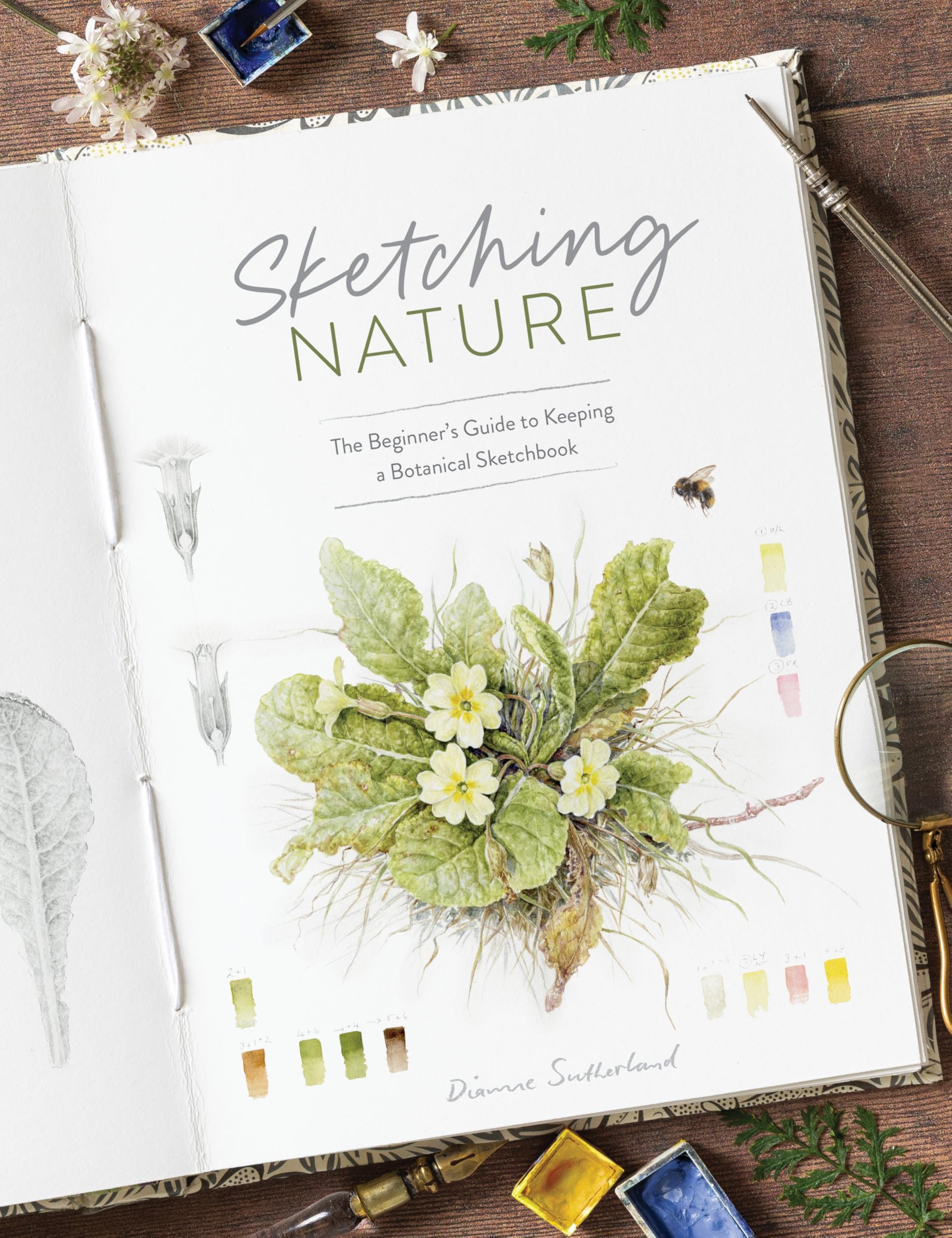 Sketching Nature: The Beginner's Guide to Keeping a Botanical Sketchbook Arts & Music
