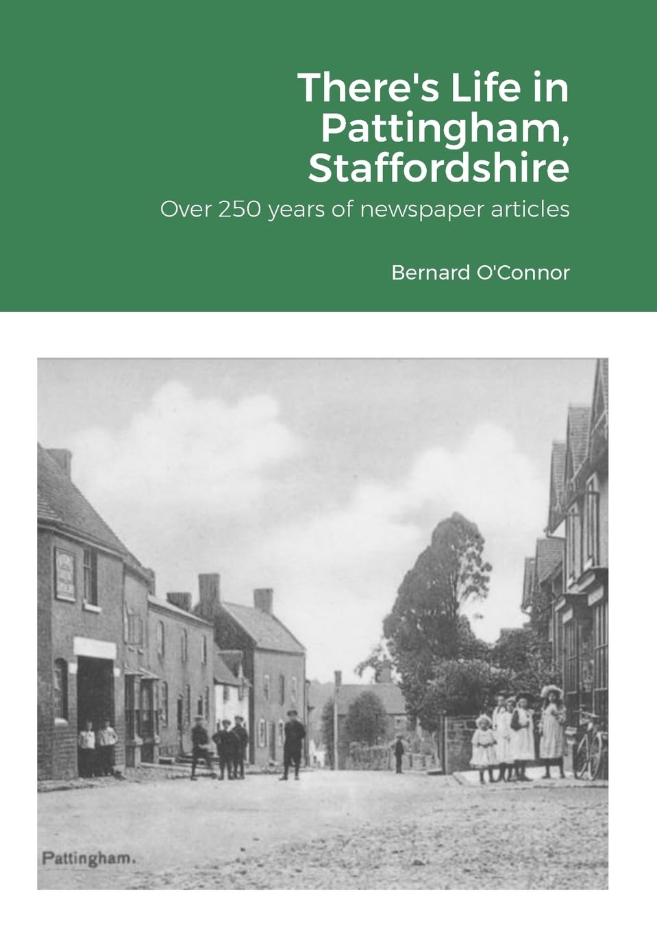 There's Life in Pattingham, Staffordshire Politics & History