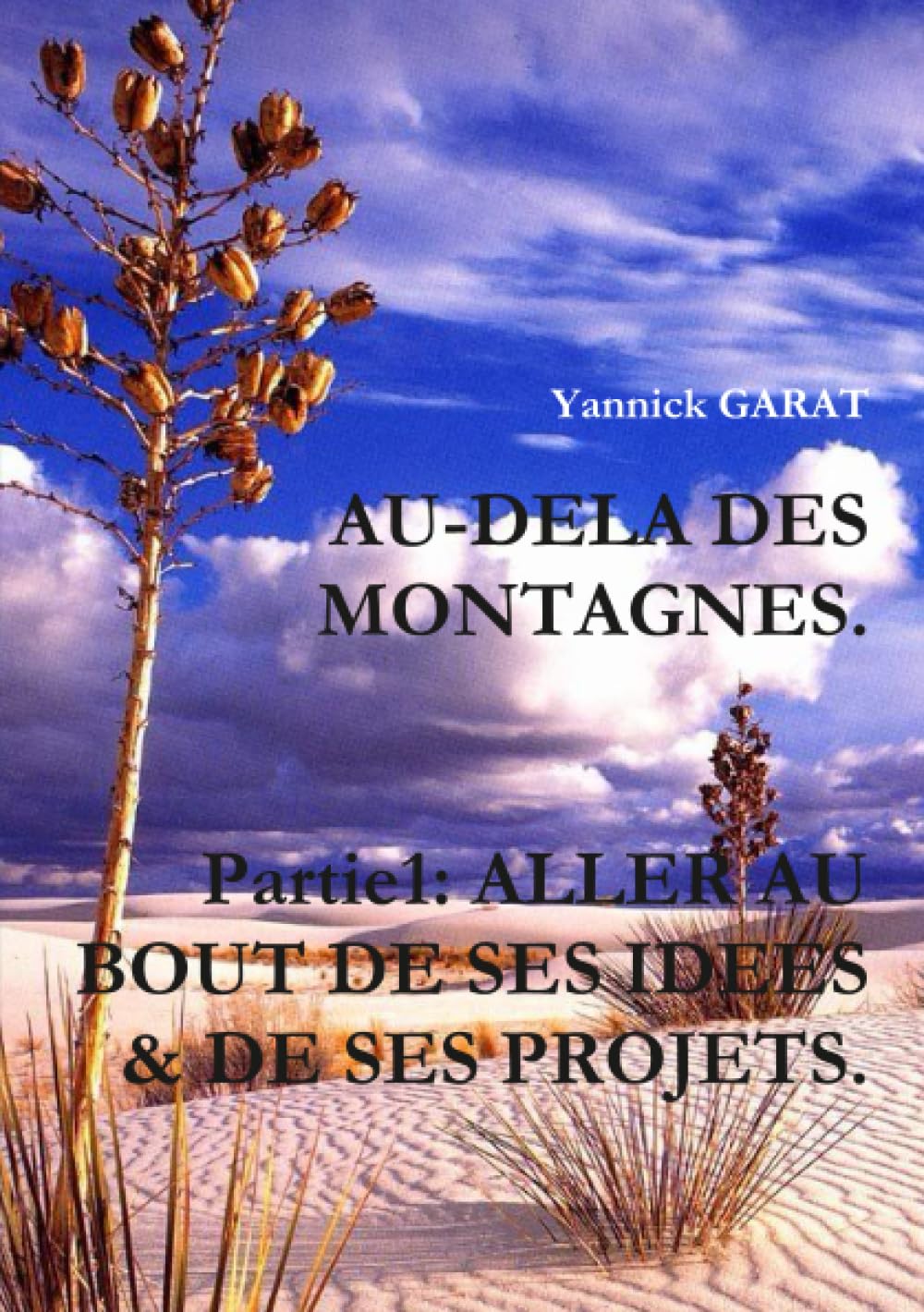 AU-DELA DES MONTAGNES. Partie1 : ALLER AU BOUT DE SES IDEES & DE SES PROJETS. book