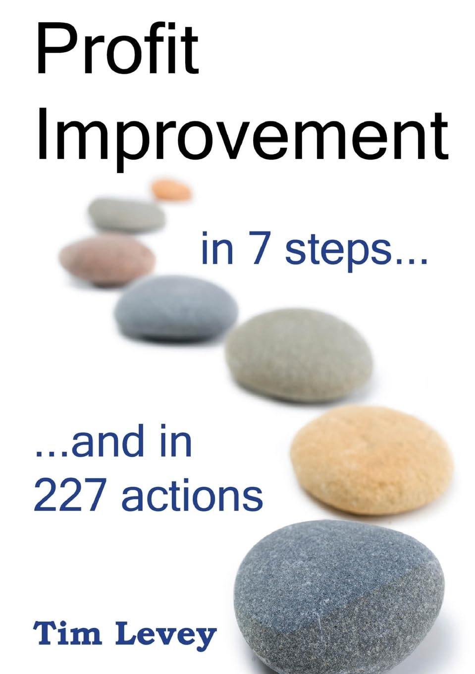 Profit Improvement in 7 Steps and in 227 Actions Business, Finance & Career