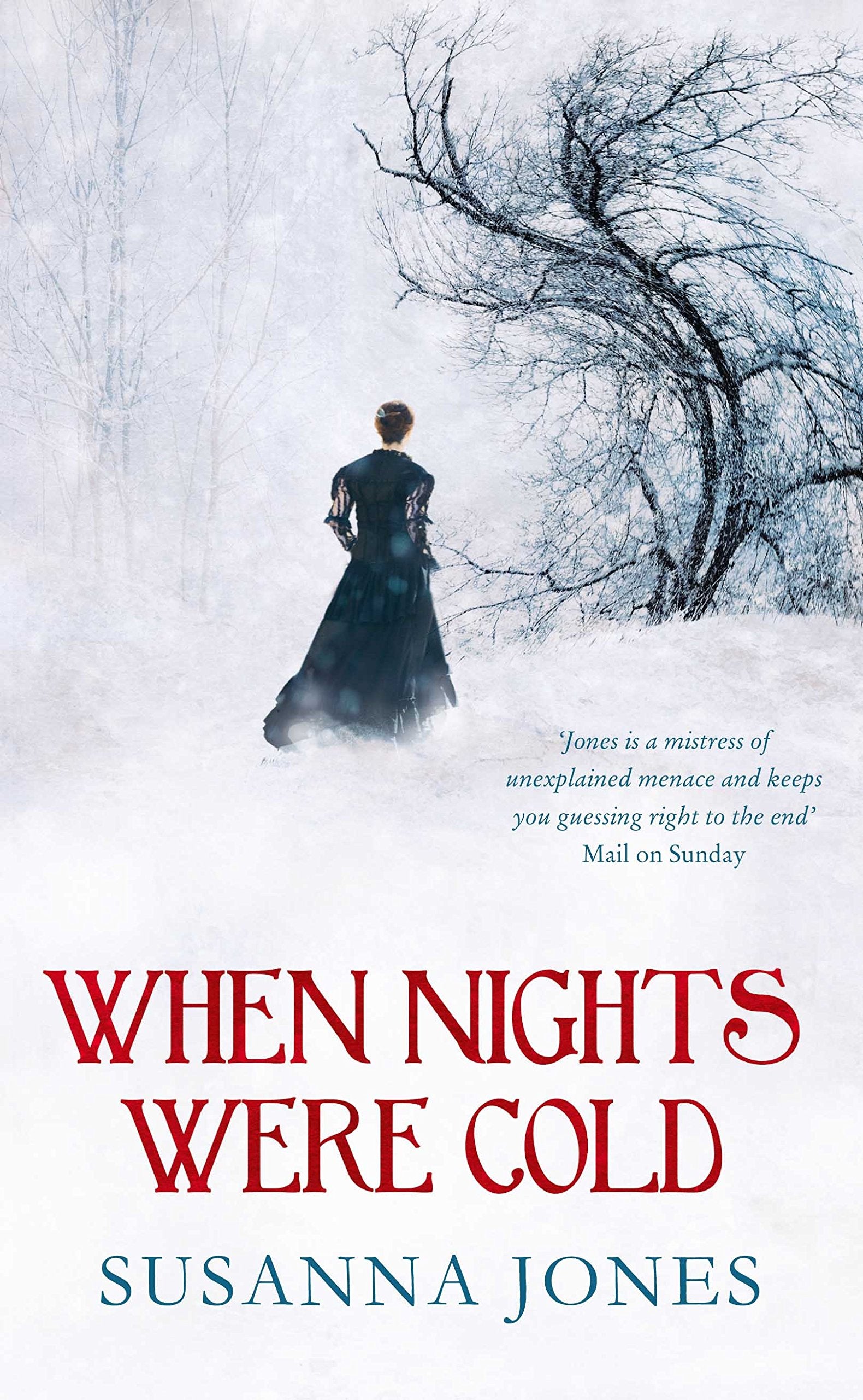 When Nights Were Cold: A literary mystery Contemporary literature