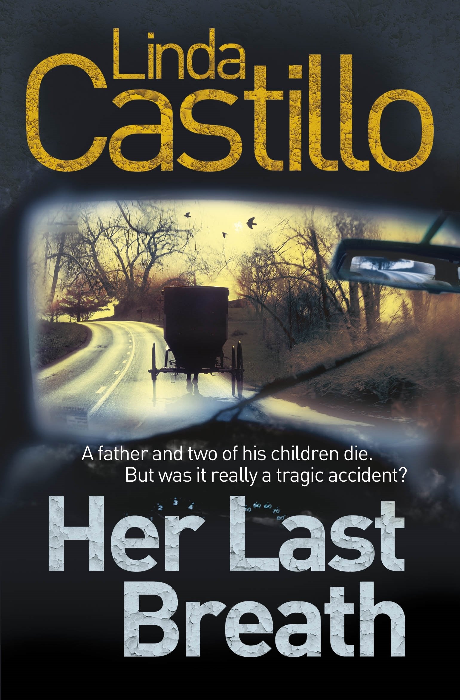 Her Last Breath (Kate Burkholder series, 5) Detective & CSI