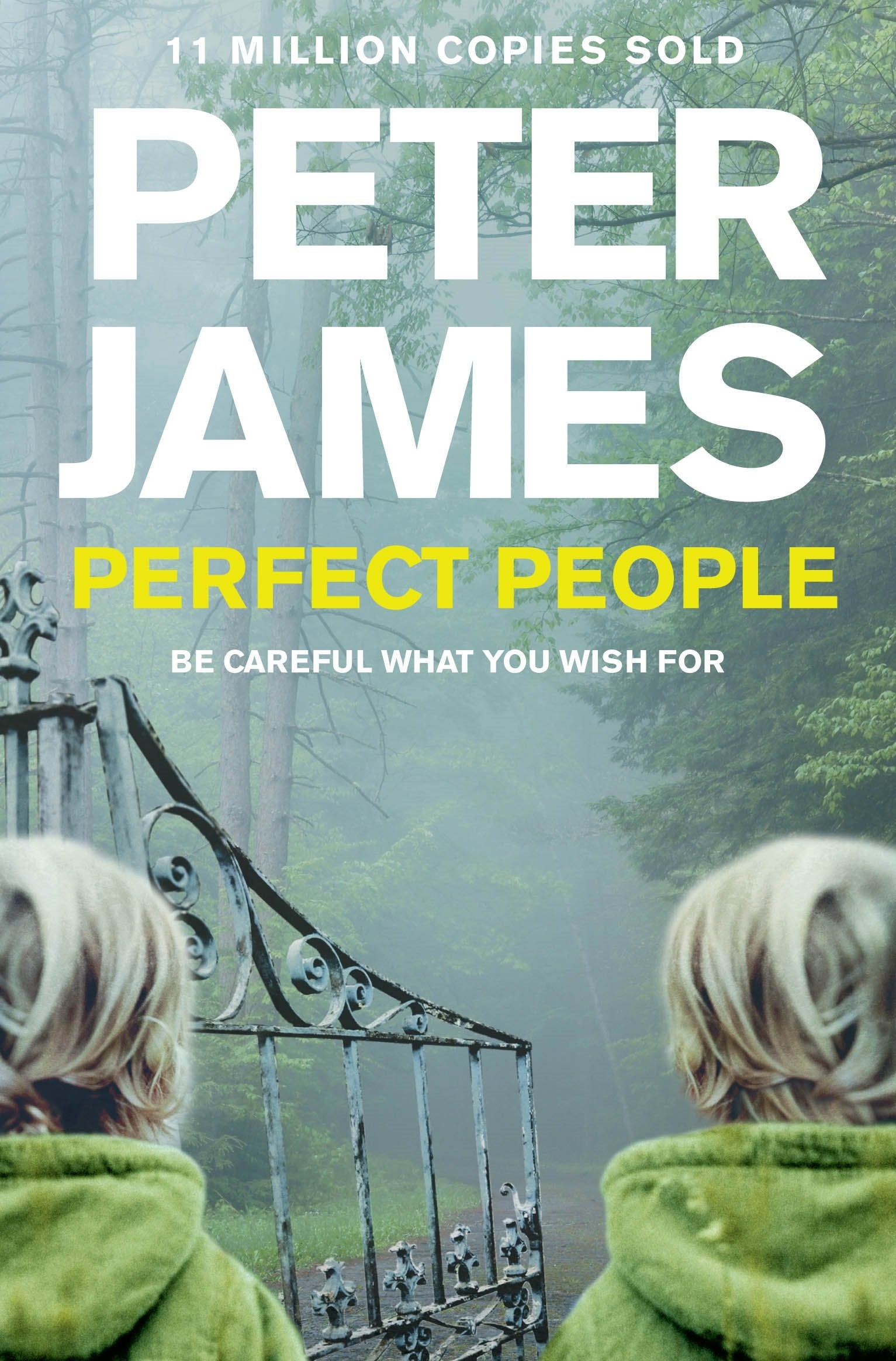 Perfect People Contemporary literature Books