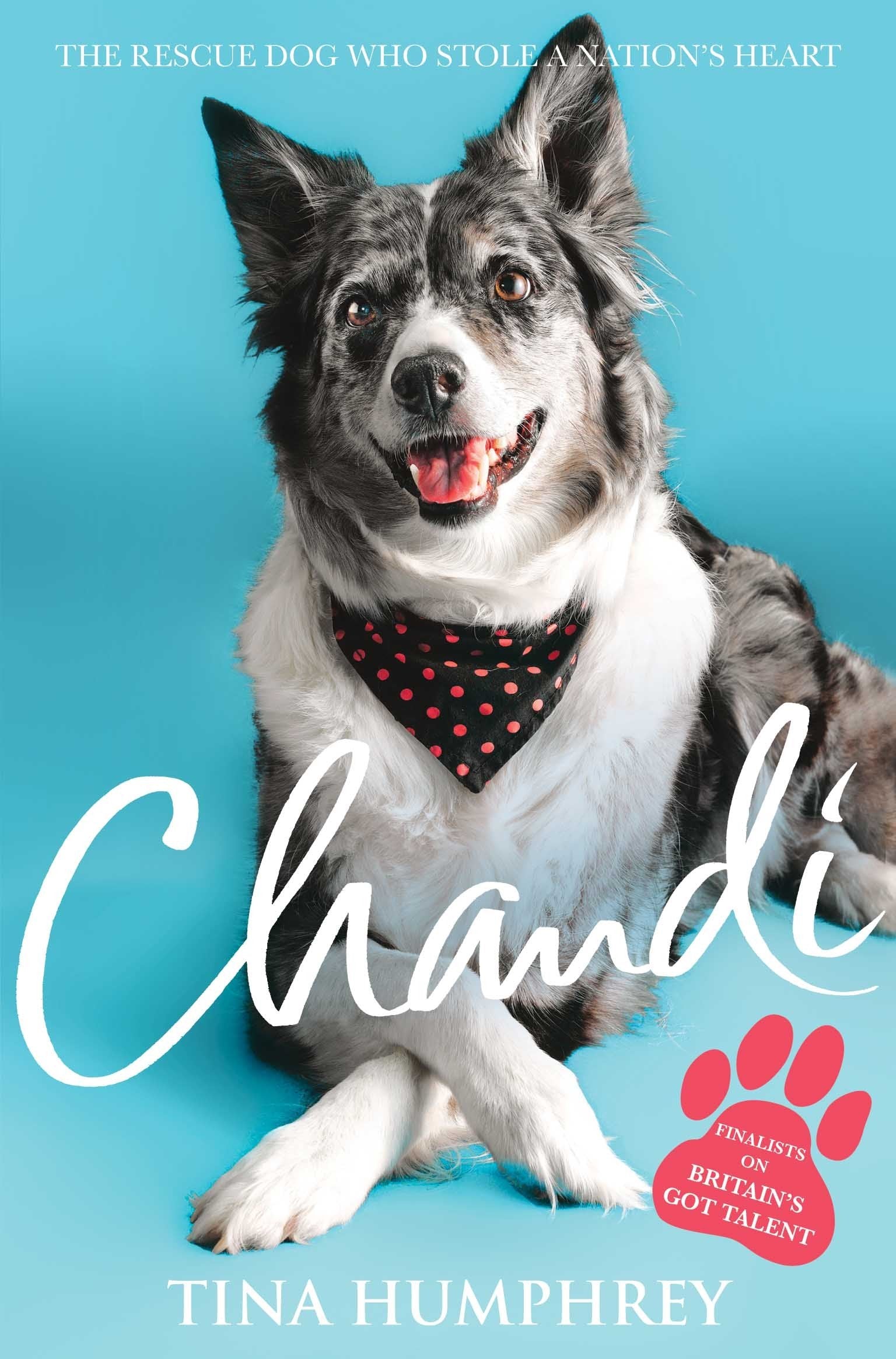 Chandi: The rescue dog who stole a nation's heart Memories