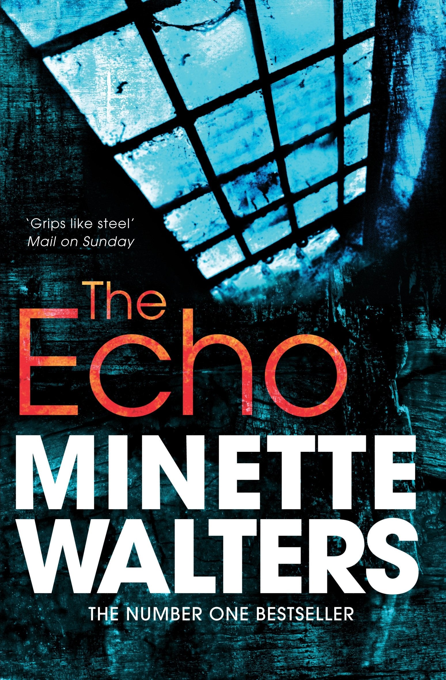 The Echo Contemporary literature Books