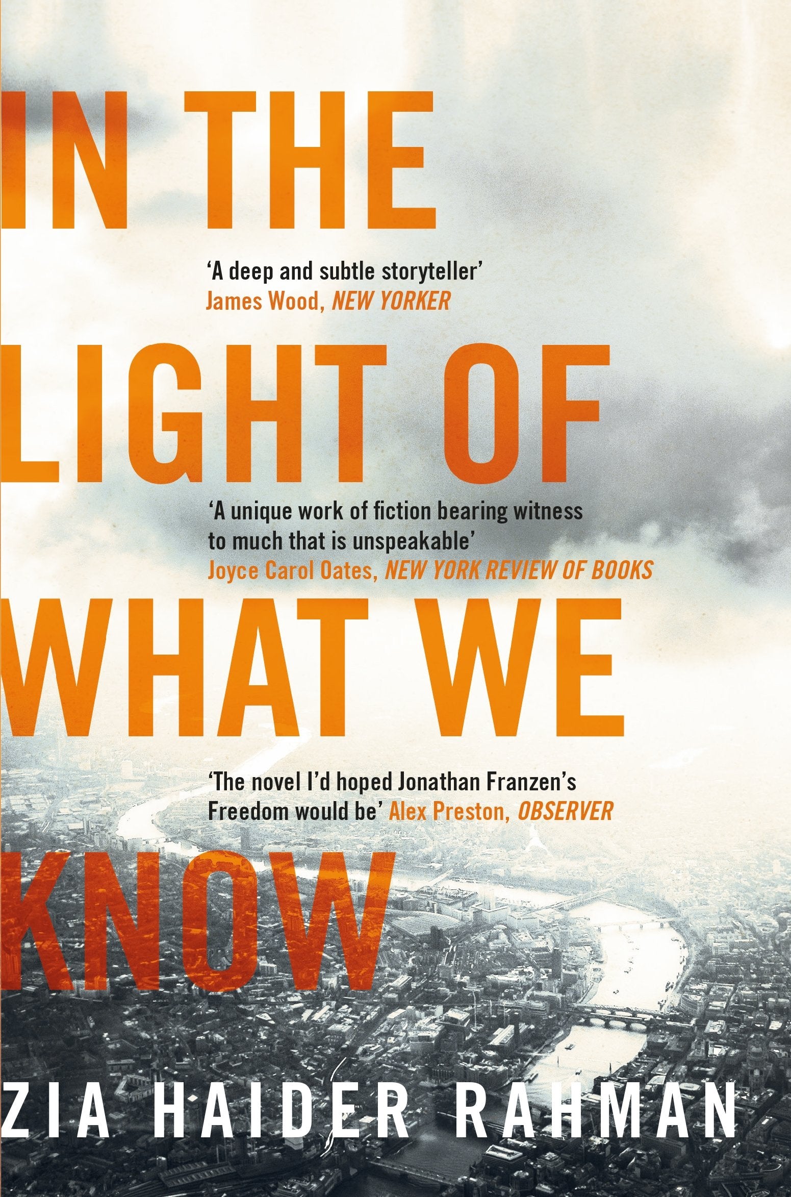In the Light of What We Know Contemporary literature