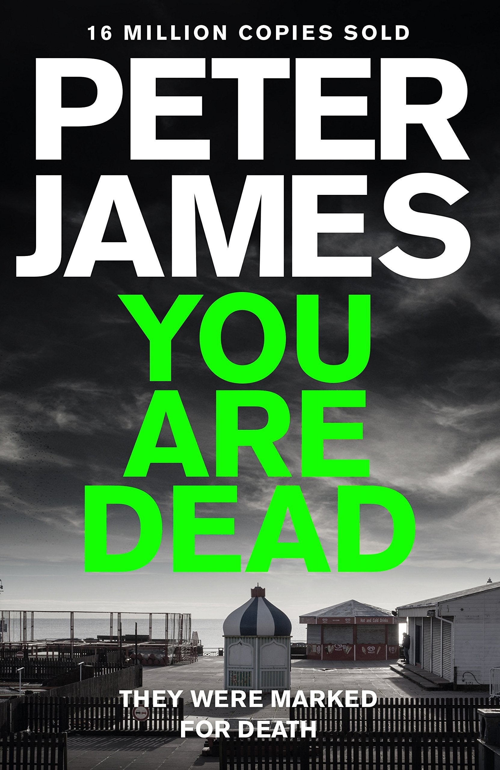 You Are Dead (Roy Grace, Band 11) Contemporary literature